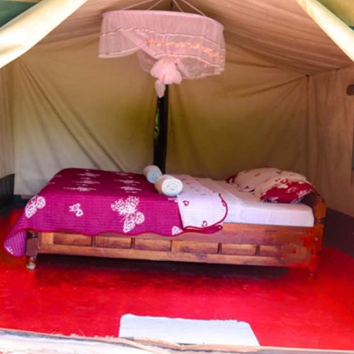 Lenchada Maasai Mara Tourist Camp tented room