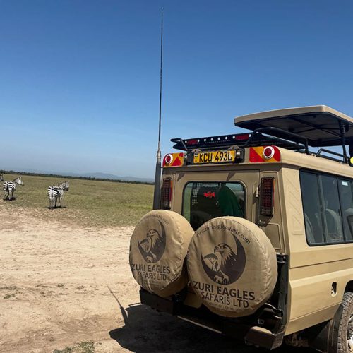 Daily safaris in Kenya 4 by 4 safari land cruiser in a national park with zuri eagles safari