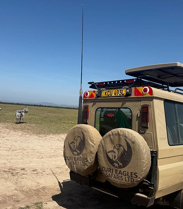 Daily safaris in Kenya 4 by 4 safari land cruiser in a national park with zuri eagles safari