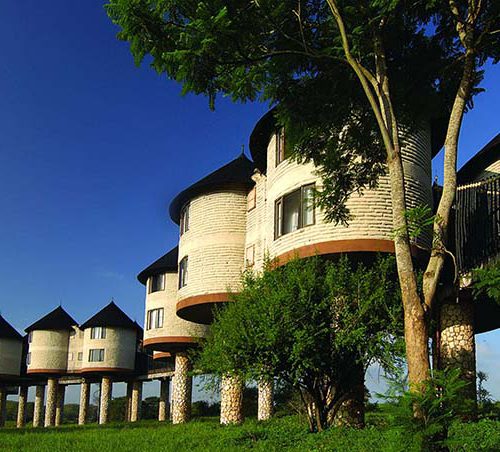Featured Image salt lick lodge