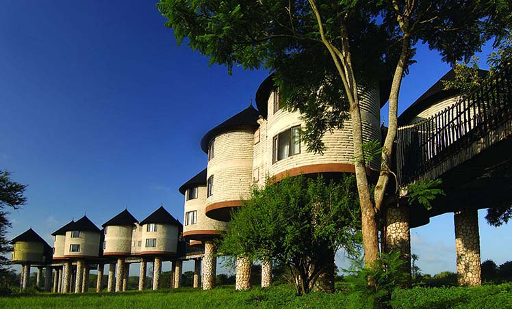 Featured Image salt lick lodge