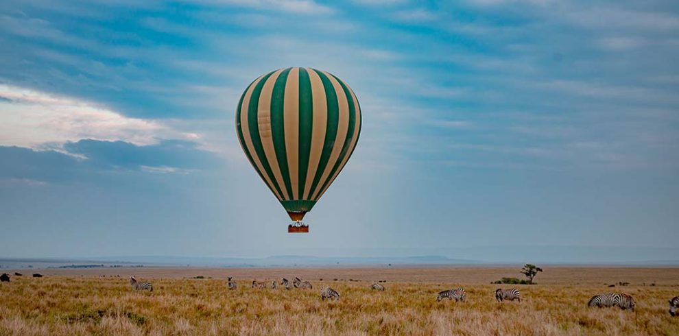 zebra-plains-balloon-safari-Image