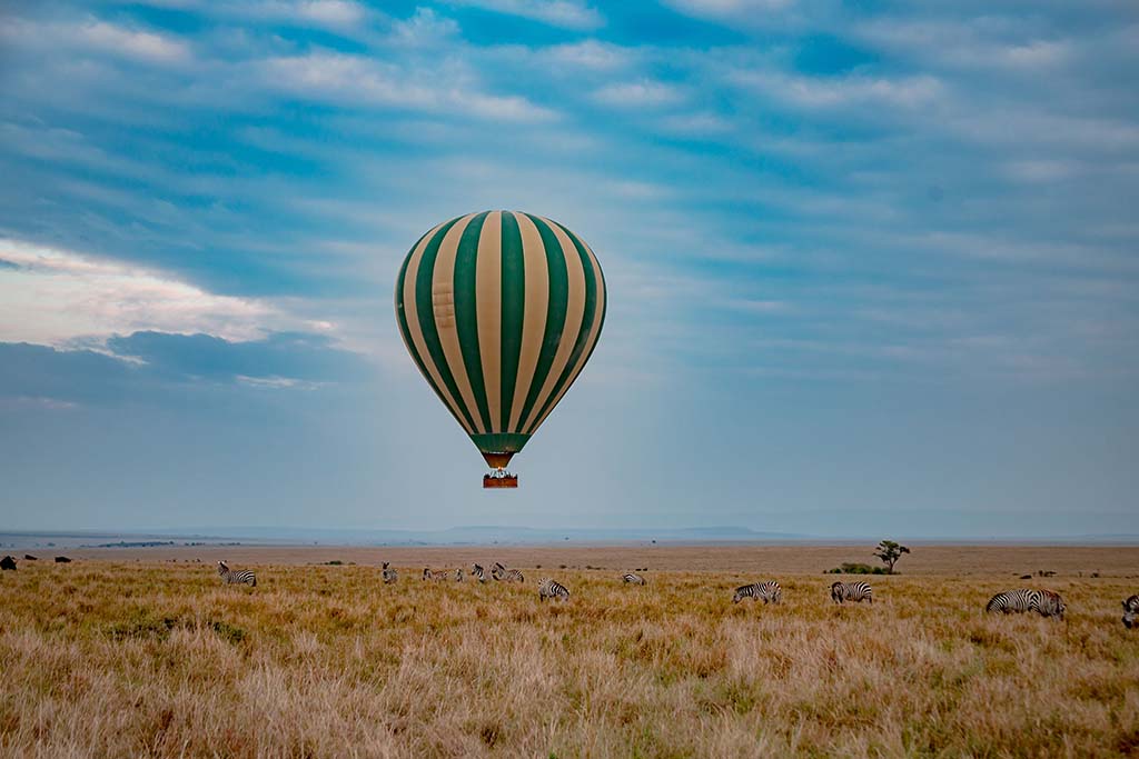 zebra-plains-balloon-safari-Image