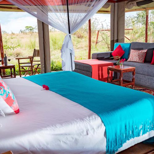 zp1zebra-plains-tented-room-with-a-view-Image