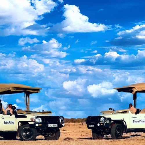 zp2zebra-plains-tour-vans-4by4-landcruiser-open-Image